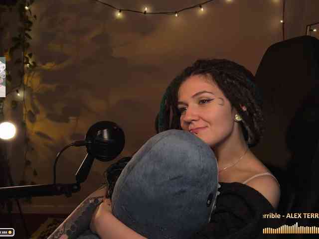 SOVA_tut webcam
