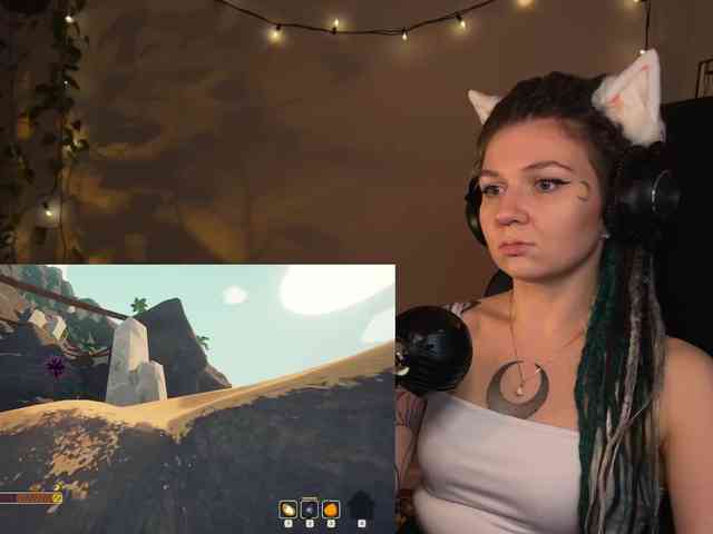 SOVA_tut webcam
