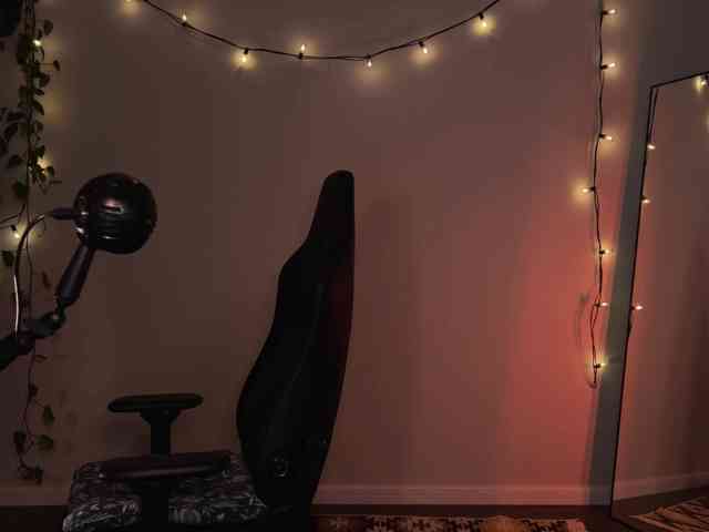SOVA_tut webcam