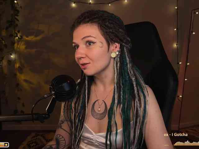 SOVA_tut webcam
