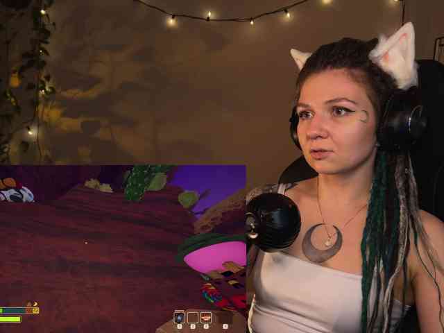 SOVA_tut webcam