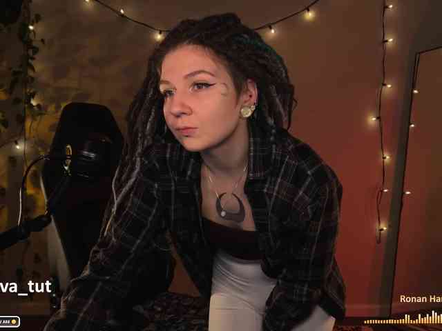 SOVA_tut webcam