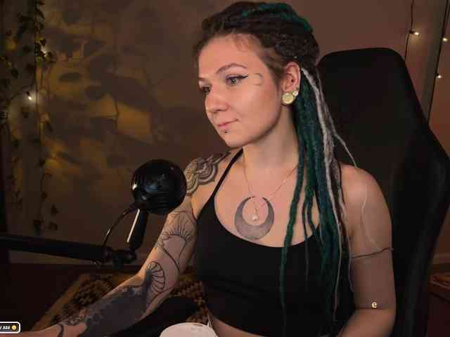 SOVA_tut webcam