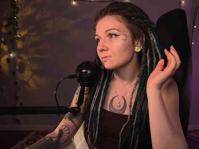 SOVA_tut webcam