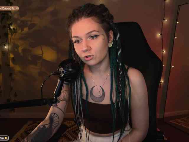 SOVA_tut webcam