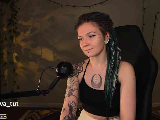 SOVA_tut webcam
