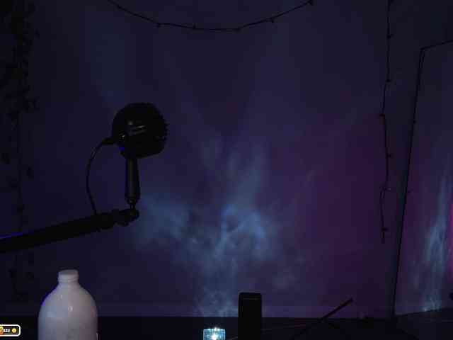 SOVA_tut webcam