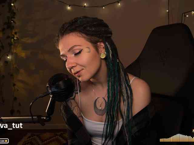 SOVA_tut webcam
