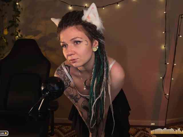 SOVA_tut webcam