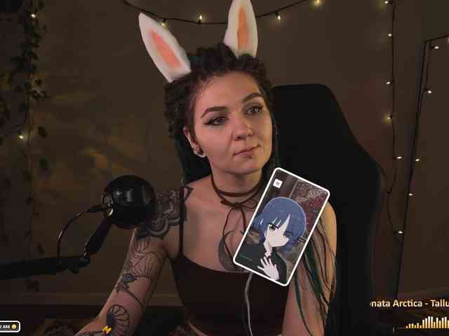 SOVA_tut webcam