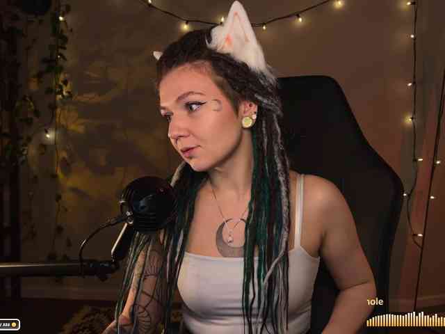 SOVA_tut webcam