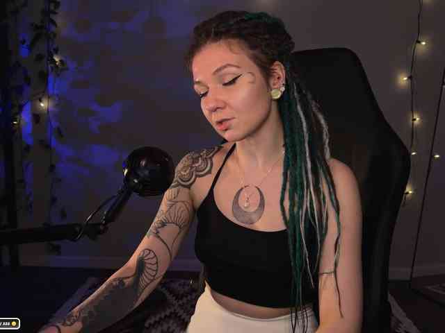 SOVA_tut webcam