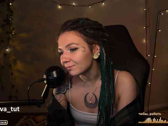 SOVA_tut webcam