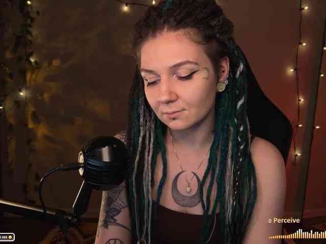 SOVA_tut webcam