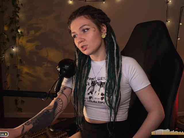 SOVA_tut webcam