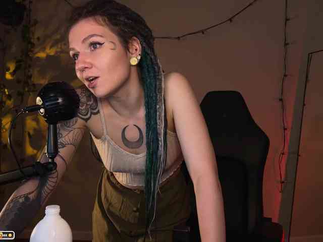 SOVA_tut webcam