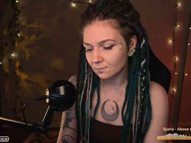 SOVA_tut webcam