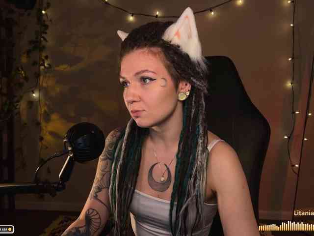 SOVA_tut webcam