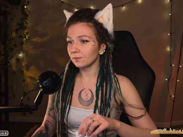 SOVA_tut webcam