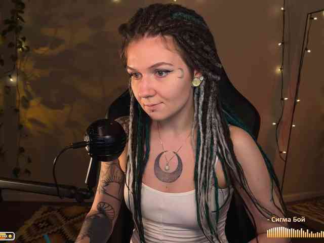 SOVA_tut webcam