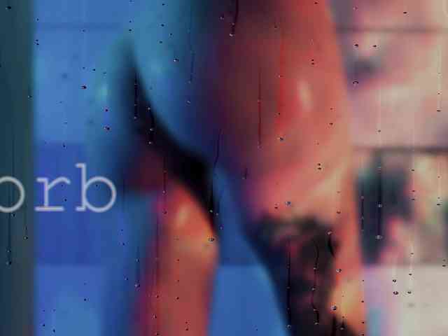 SOVA_tut webcam