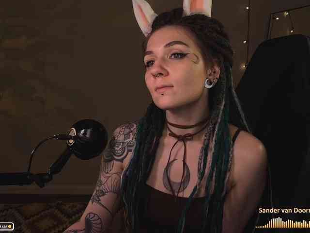 SOVA_tut webcam