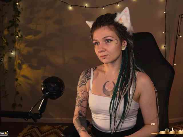 SOVA_tut webcam