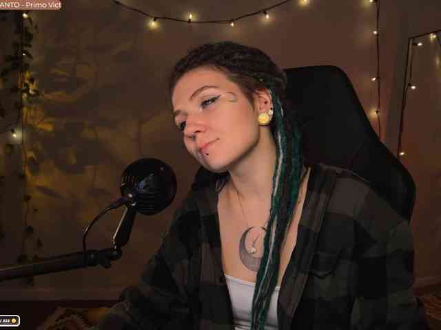 SOVA_tut webcam