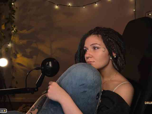 SOVA_tut webcam