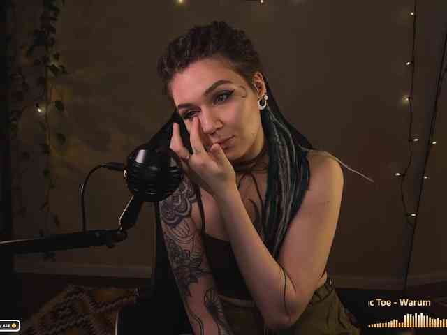 SOVA_tut webcam