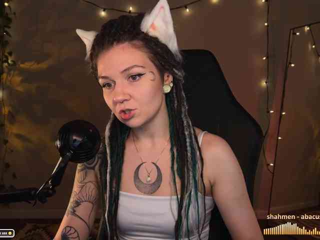 SOVA_tut webcam