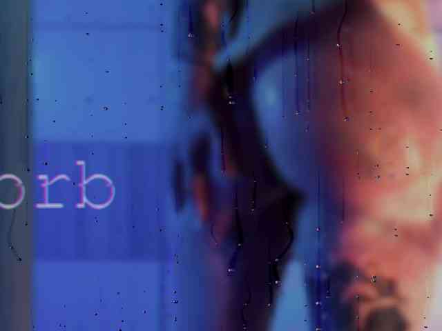 SOVA_tut webcam