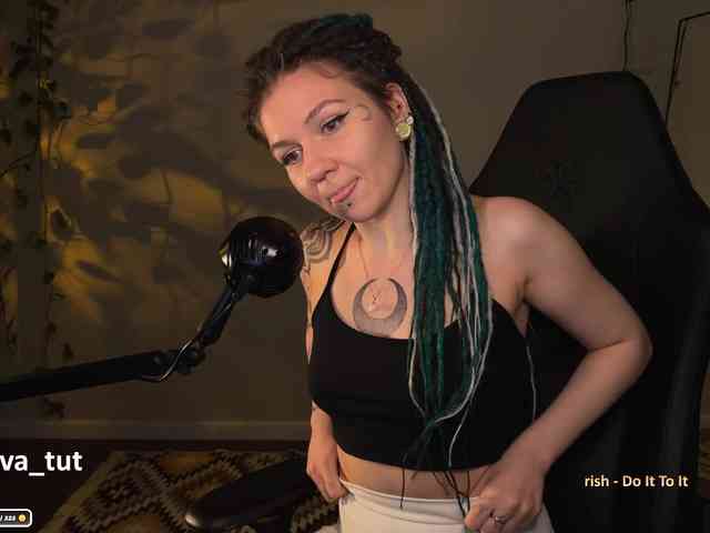 SOVA_tut webcam