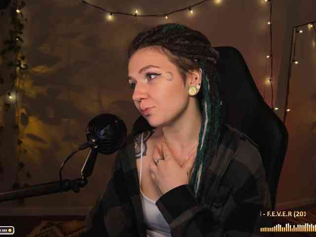 SOVA_tut webcam