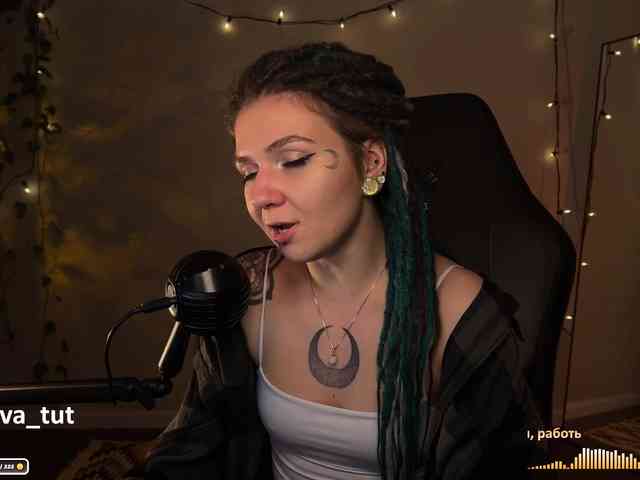 SOVA_tut webcam