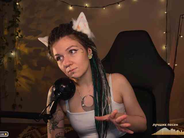 SOVA_tut webcam
