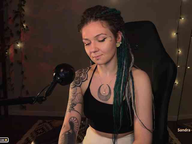 SOVA_tut webcam