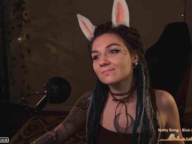 SOVA_tut webcam