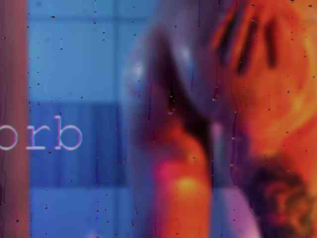 SOVA_tut webcam