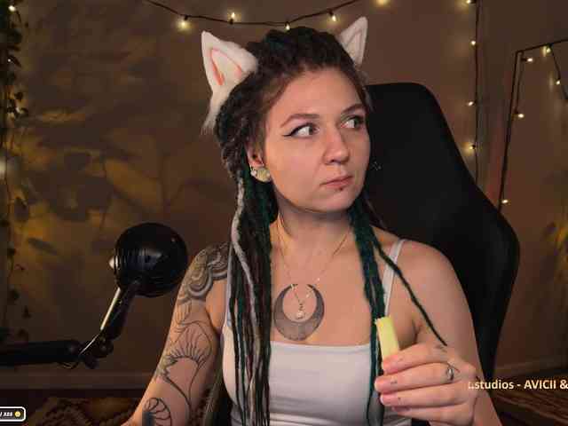 SOVA_tut webcam