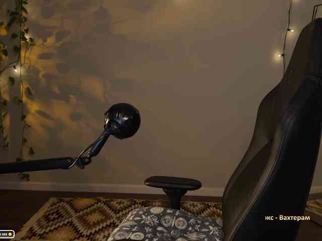 SOVA_tut webcam