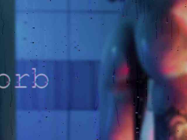 SOVA_tut webcam