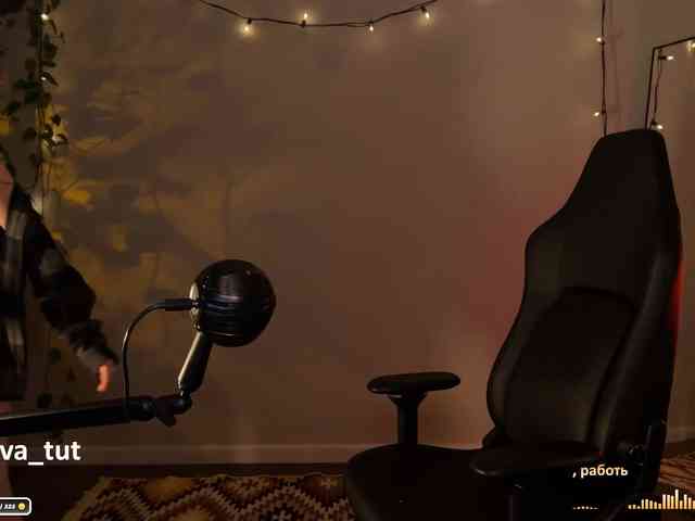 SOVA_tut webcam