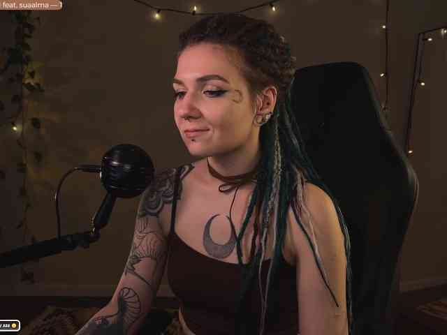 SOVA_tut webcam