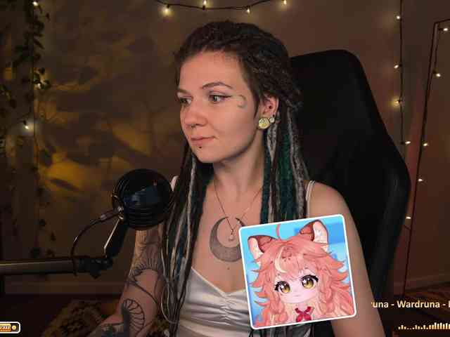 SOVA_tut webcam