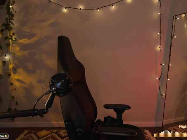 SOVA_tut webcam