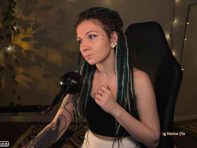 SOVA_tut webcam