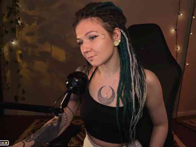 SOVA_tut webcam