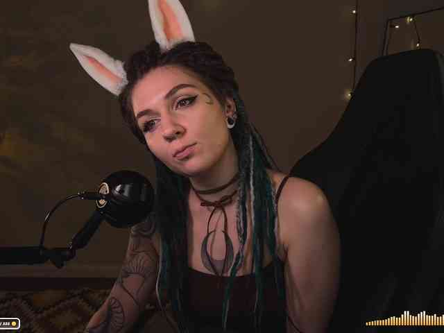 SOVA_tut webcam