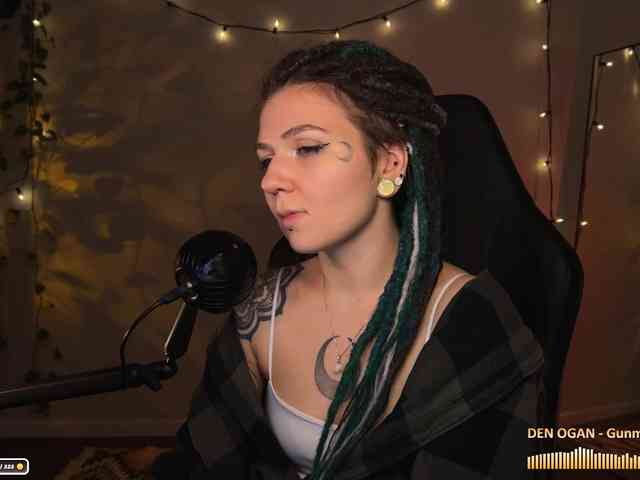 SOVA_tut webcam